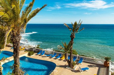 Havuz deniz kenarında palmiye ağacı ile