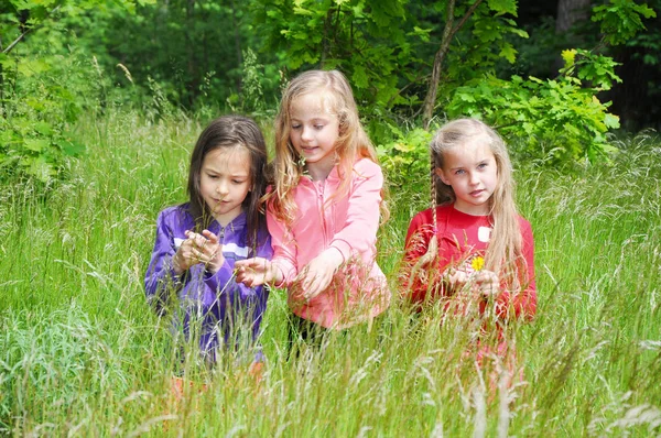 Niños jugando en el prado de verano —  Fotos de Stock