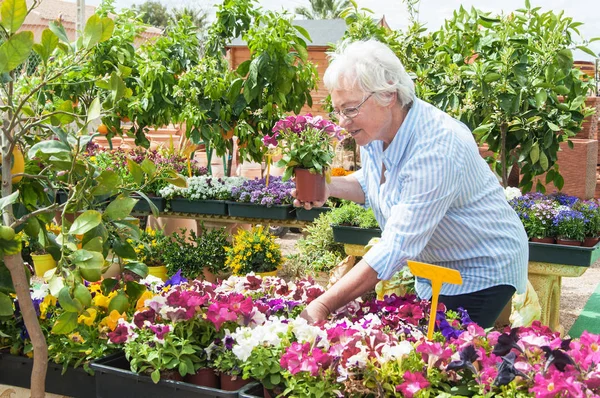 Vrouw uitzoeken van ingemaakte bloemen bij tuincentrum — Stockfoto