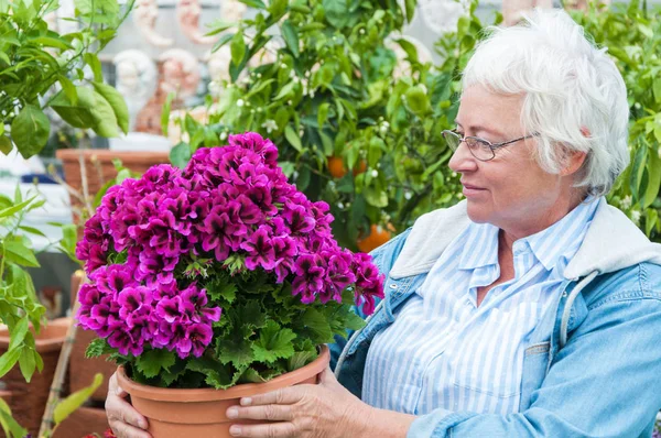 Mulher escolher flores em vaso no centro do jardim — Fotografia de Stock
