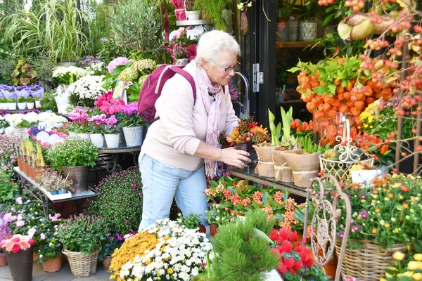 Mulher escolhe plantas em uma loja de flores — Fotografia de Stock