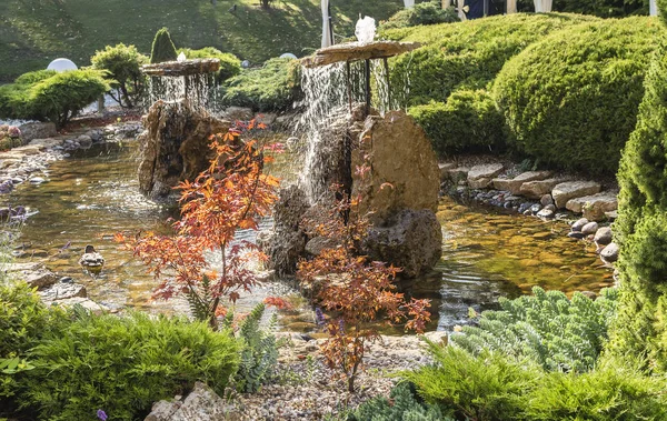 Bellissimo paesaggio con laghetto — Foto Stock