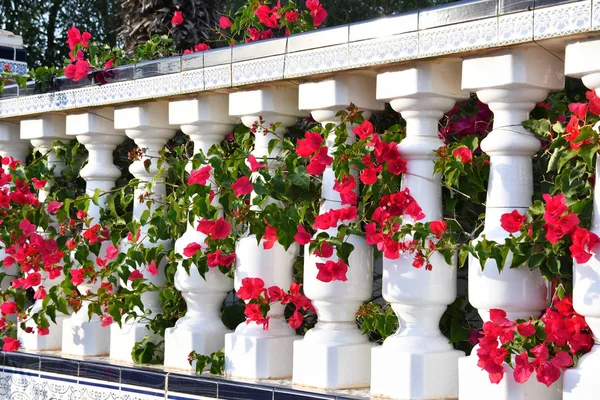 Terraço espanhol com flores vermelhas — Fotografia de Stock