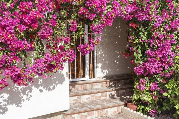 明るい花で飾られた玄関ドア — ストック写真