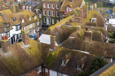 Yosun kaplı binaların çatıları