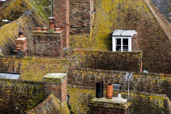 Techos de edificios cubiertos de musgo — Foto de Stock