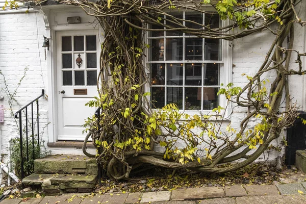 Vecchia casa bianca con albero — Foto Stock