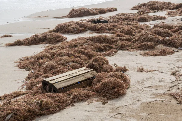 Praia de areia depois de uma tempestade .. — Fotografia de Stock