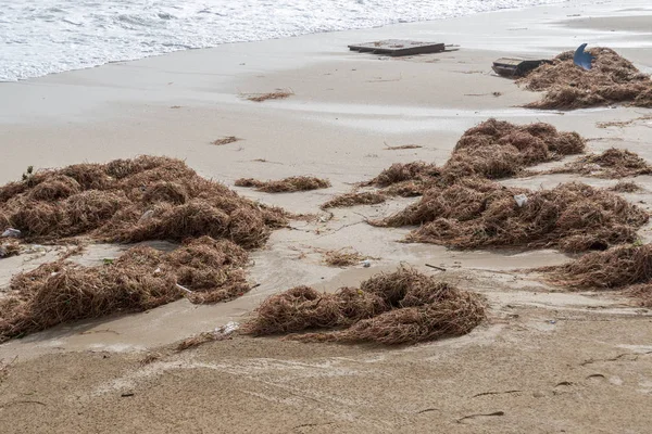 Praia de areia depois de uma tempestade .. — Fotografia de Stock