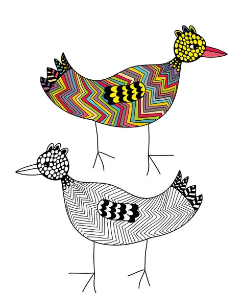 Креативные две птицы — стоковый вектор