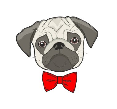 Beyaz arka plan üzerinde izole üzücü köpek suratı. Şirin pug illüstrasyon vektör.