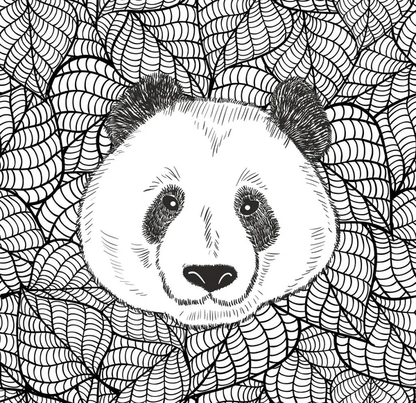 可爱的中国熊熊猫头 黑白插图的叶子背景着色 — 图库矢量图片