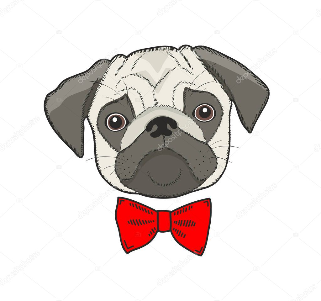 Sad dog face isolated on white background. Cute pug illustration in vector.