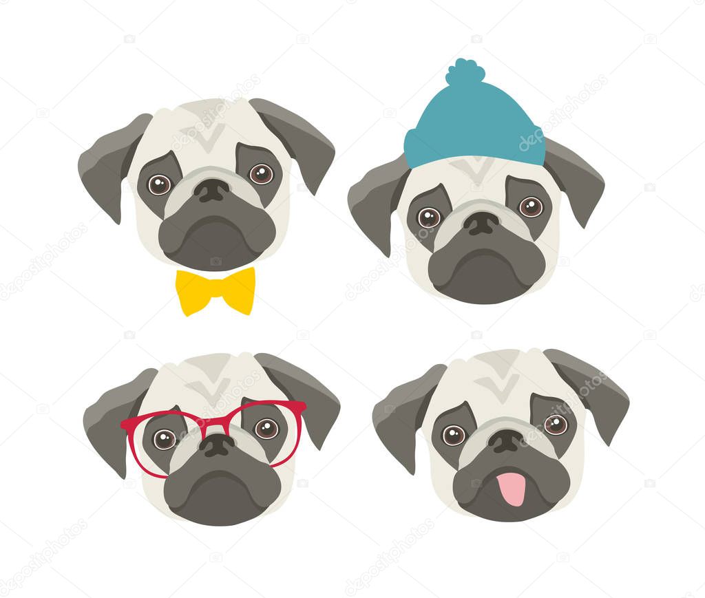 Set of pugs faces with accessories. Vector collection of fummy prints.