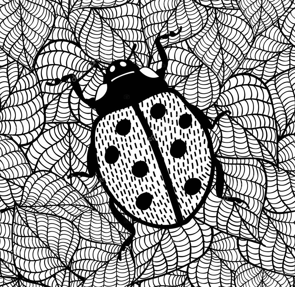 Lady bug. Decorative illustration of doodle insect on leaves background. Black and white illustration on leaves background for coloring.
