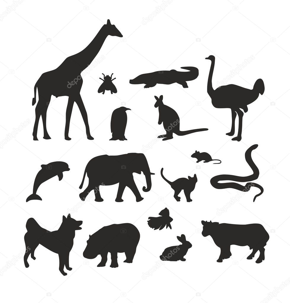 Imágenes: animales domesticos blanco y negro | Colección Blanco Negro