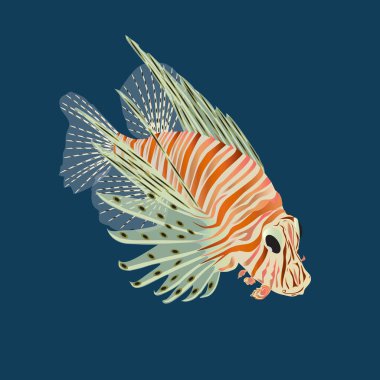 Balık-zebra (Pterois Volitans)