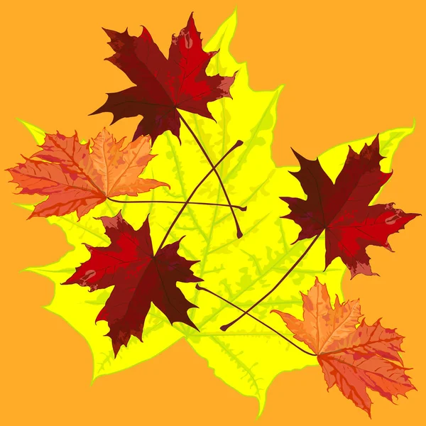 Die Zeichnung mit Ahornblättern im Herbst, Muster — Stockvektor