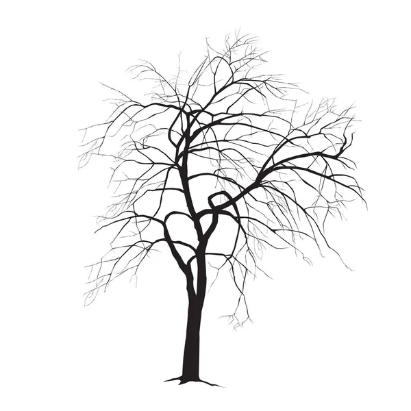 Sílhueta de árvore de maçã no inverno —  Vetores de Stock