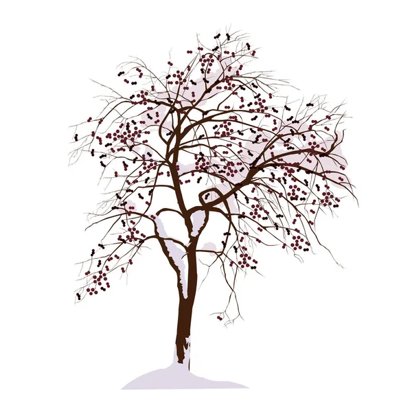 Appelboom in de winter onder sneeuw — Stockvector