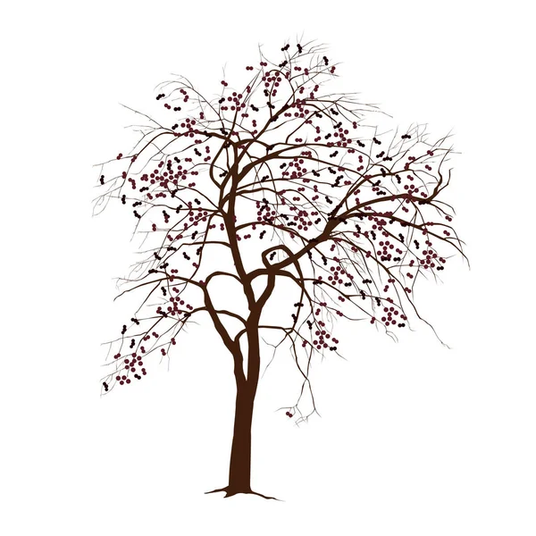 Télen almafa, lehullott levelekkel — Stock Vector