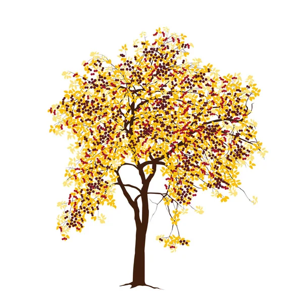 Apfelbaum mit Äpfeln im Herbst — Stockvektor
