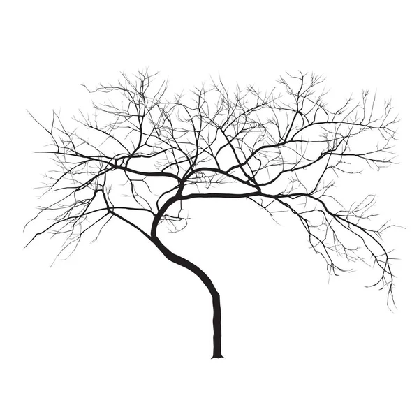 Silhouette d'arbre en hiver — Image vectorielle