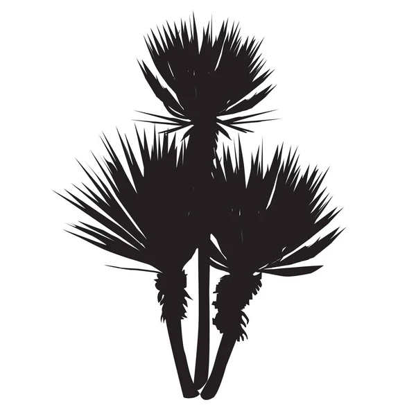 Silhouette di una grande pianta di una yucca — Vettoriale Stock