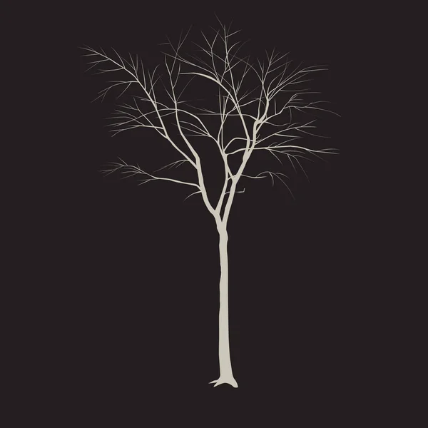 Trädstam utan blad — Stock vektor