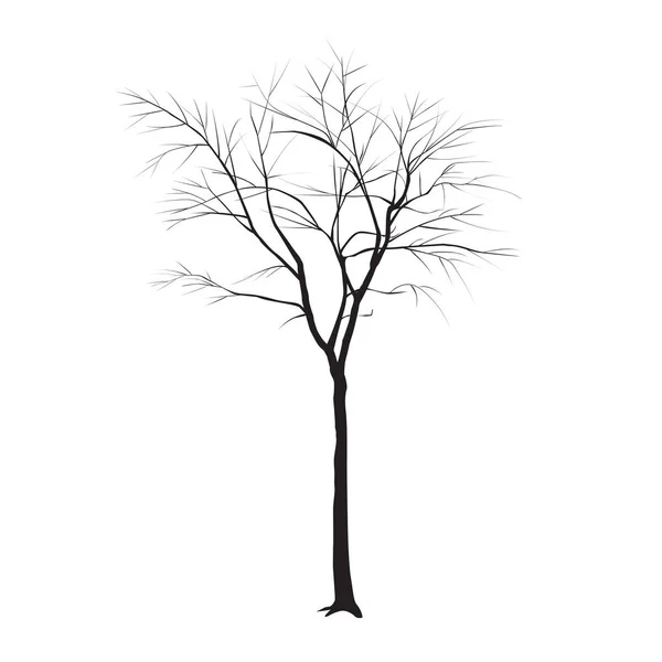 Tronc d'arbre sans feuilles — Image vectorielle