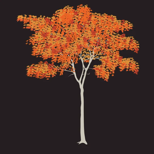 Maple dengan daun kuning - Stok Vektor