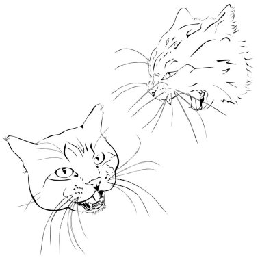 Saldıran kedi, beyaz arka plandaki siyah çizim.