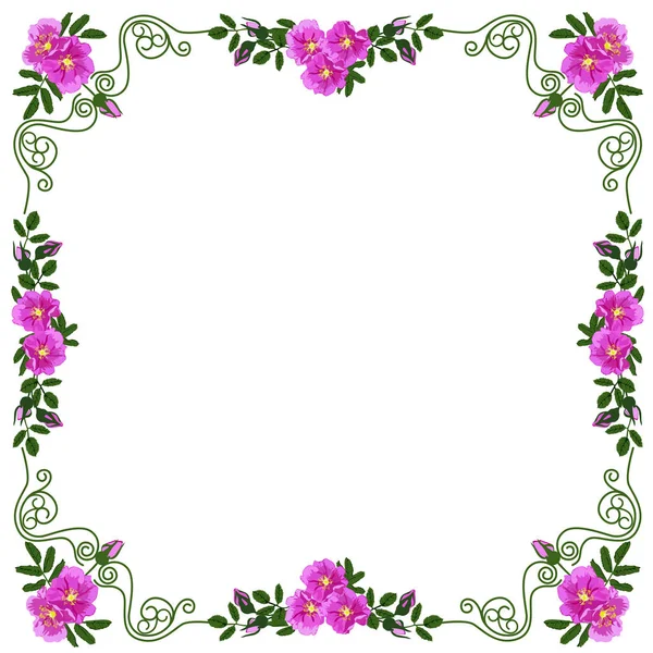 Decoratief frame, frame voor de tekst in de kleur vector afbeelding — Stockvector