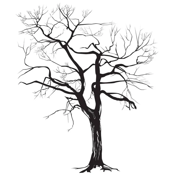 Sílhueta de tronco de árvore com folhas caídas — Vetor de Stock