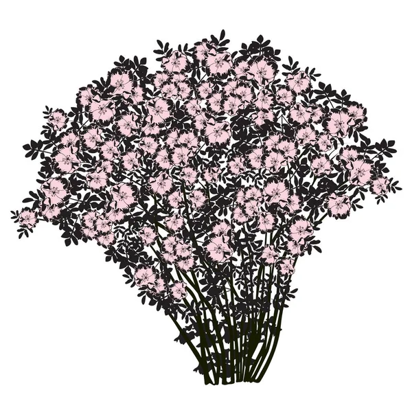 Soğuk pembe renkli çiçekleri olan büyük bir kızılcık çalısı. — Stok Vektör