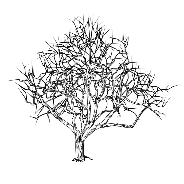 Tronc Arbre Avec Des Feuilles Tombées Hiver Dessin Vectoriel Graphique — Image vectorielle