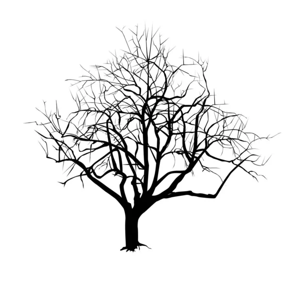 Sylwetka Drzewa Opadającymi Liśćmi Zimie Czarno Biały Rysunek Wektora — Wektor stockowy