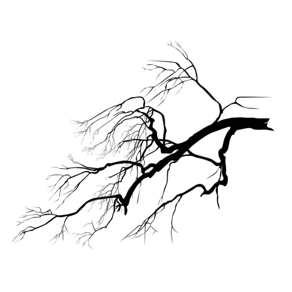 Silhouette Oak Branch Foliage Black Vector Image White Background — Stockvektor