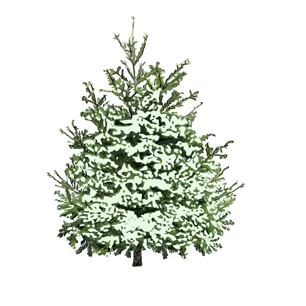 Fir Tree Green Needles Snow Cover Color Vector Image White — Stock Vector