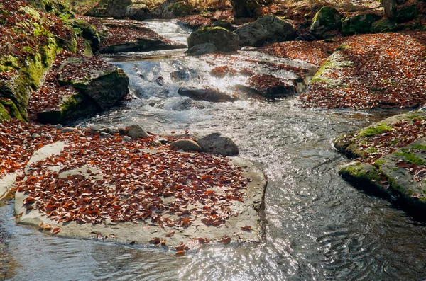 Folhas de outono caem. Fluxo de montanha . — Fotografia de Stock