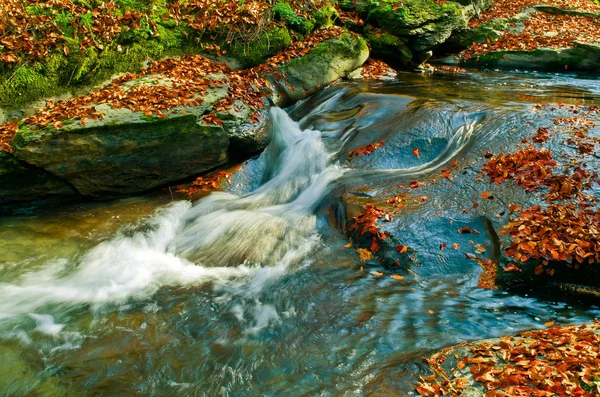 秋天的树叶翻滚。山间小溪. — 图库照片