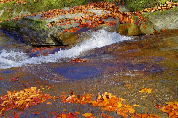 Podzimní listí bubnové. Horský potok. — Stock fotografie