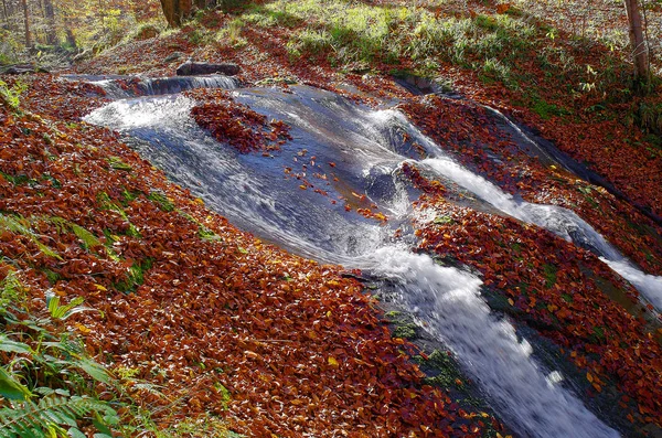 秋天的树叶翻滚。山间小溪. — 图库照片