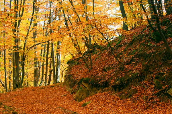 Pastorala hösten bergslandskap. — Stockfoto