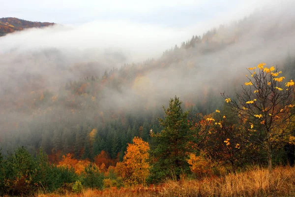 Monti Rodopi, Bulgaria, Autunno Nebbia Paesaggio . — Foto Stock