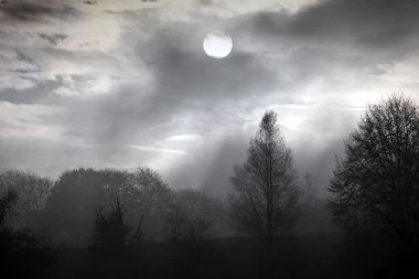 Rodopi, Bulgaristan, sonbaharın puslu gündoğumu.