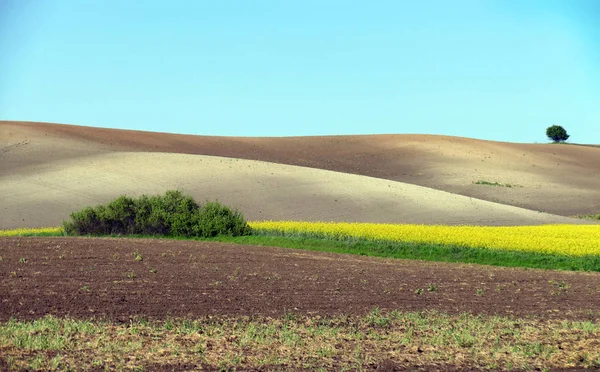 Landwirtschaftliche Flächen Abwechslungsreiches Gelände — Stockfoto