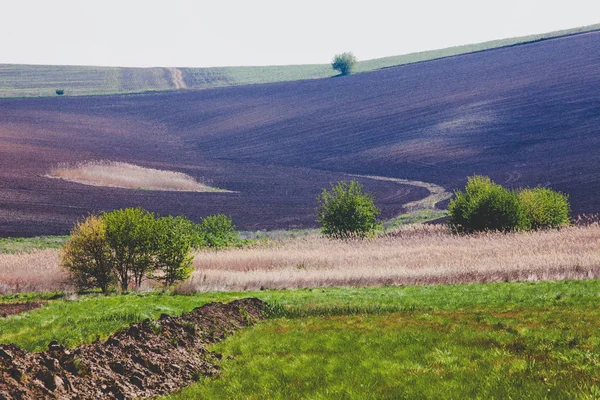 Terreno Agrícola Terreno Variado Paisaje Primavera Llanura Del Danubio Bulgaria — Foto de Stock