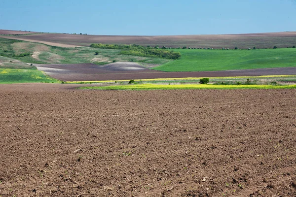 Landwirtschaftliche Flächen Abwechslungsreiches Gelände Frühlingslandschaft Der Donauebene Bulgariens — Stockfoto
