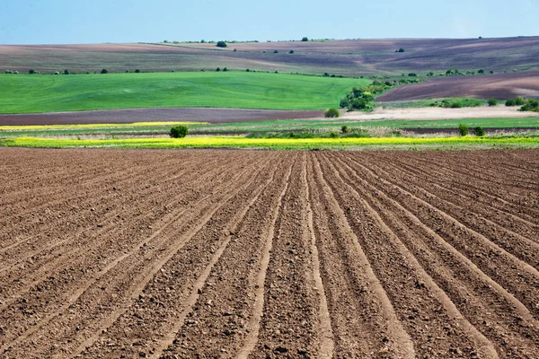 Terrain Agricole Terrain Varié Paysage Printanier Dans Plaine Danube Bulgarie — Photo